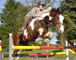 jumper Marco Polo 207 (Polish Warmblood, 1997, from Graf)