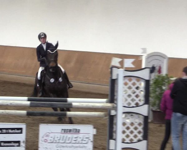 Reitturnier Freudenberg 2017