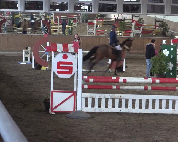 Reitturnier Freudenberg 2017