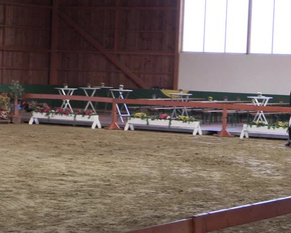 Hallenturnier Warendorf-Freckenhorst 2017
