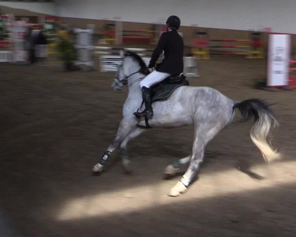 Reitturnier Freudenberg 2017