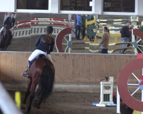 Reitturnier Freudenberg 2017