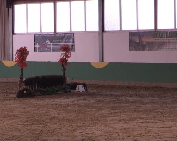 Hallenturnier Warendorf-Freckenhorst 2017