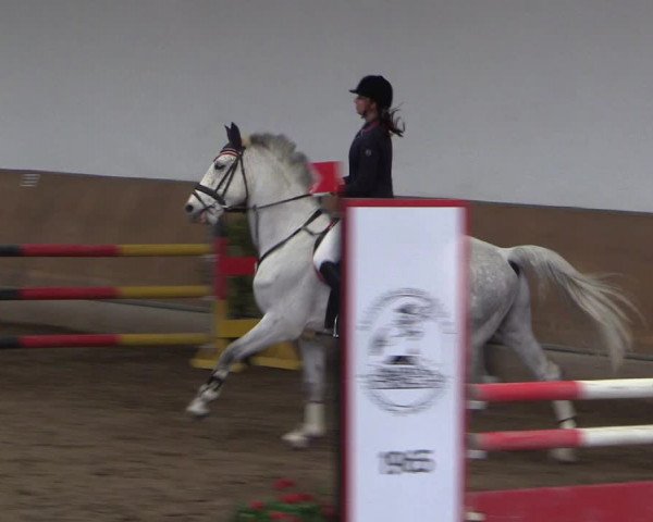 Reitturnier Freudenberg 2017