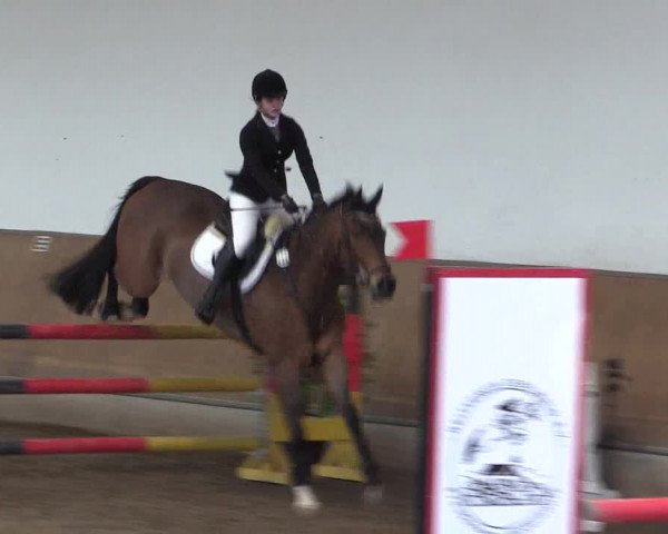 Reitturnier Freudenberg 2017