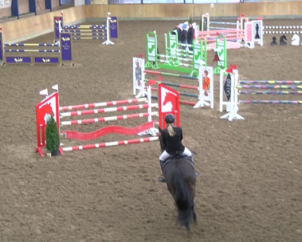 Reitturnier Großenwiehe 2017
