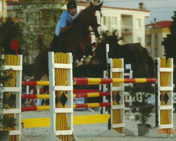 Springpferd Athina (Belgisches Warmblut, 2000, von Eros Platiere)