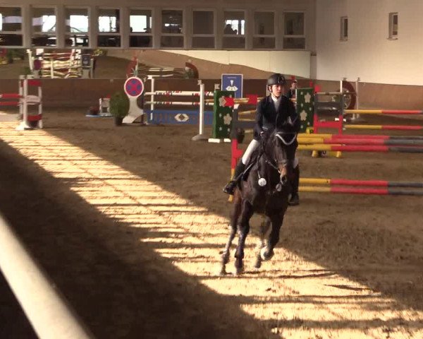 Reitturnier Freudenberg 2017