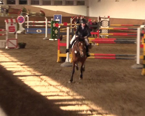Reitturnier Freudenberg 2017