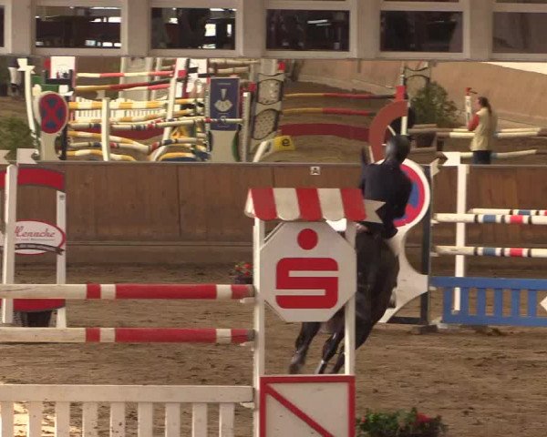 Reitturnier Freudenberg 2017