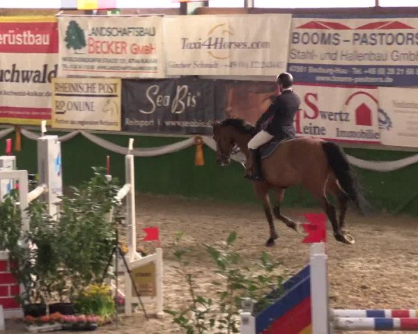 Reitturnier Keppeln  - Reitanlage "Hötzenhof" 2017