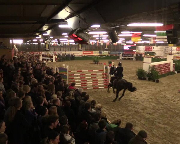 Reitturnier Keppeln  - Reitanlage "Hötzenhof" 2017