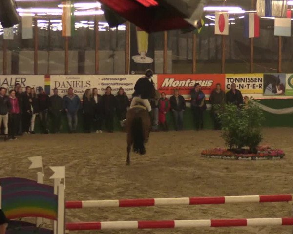 Reitturnier Keppeln  - Reitanlage "Hötzenhof" 2017