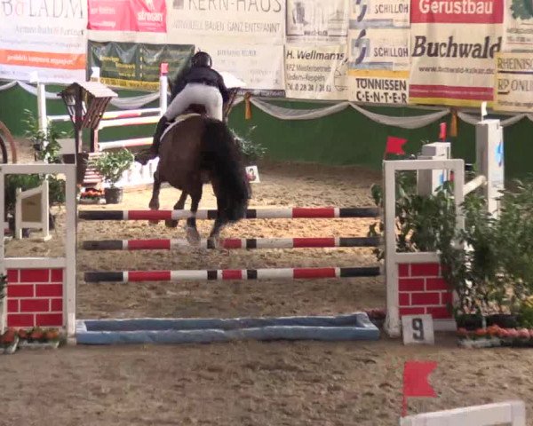 Reitturnier Keppeln - Reitanlage "Hötzenhof" 2017