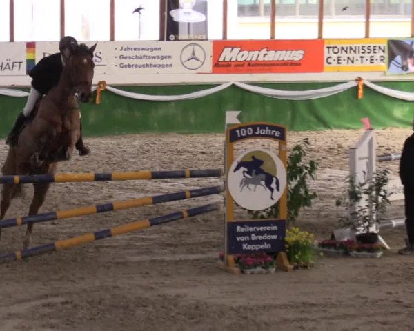 Reitturnier Keppeln  - Reitanlage "Hötzenhof" 2017