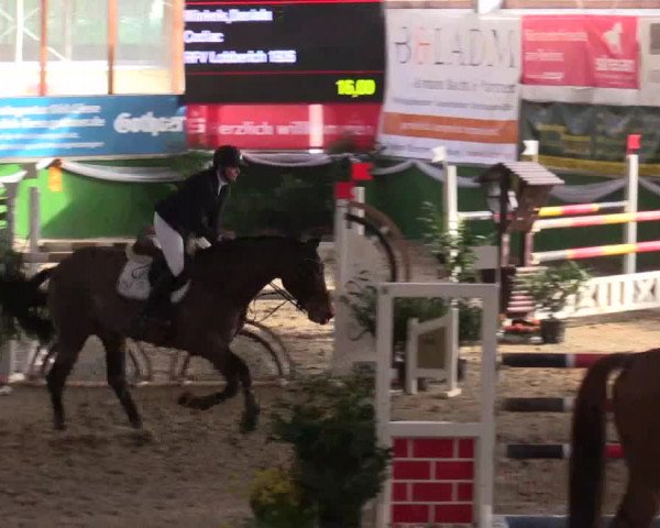 Reitturnier Keppeln  - Reitanlage "Hötzenhof" 2017