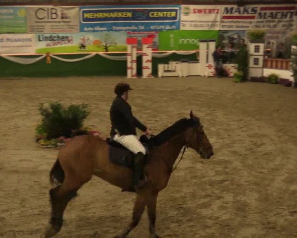 Reitturnier Keppeln  - Reitanlage "Hötzenhof" 2017