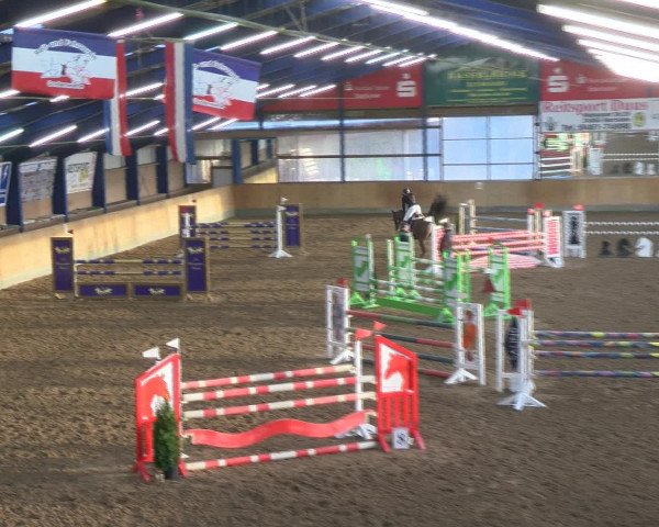 Reitturnier Großenwiehe 2017