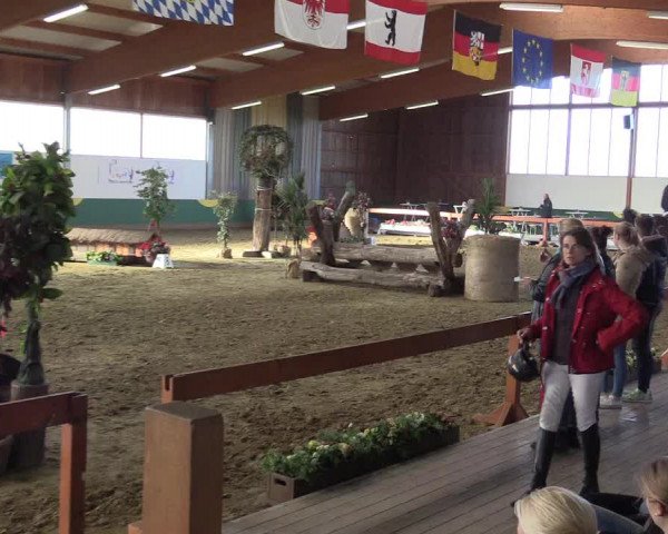 Hallenturnier Warendorf-Freckenhorst 2017