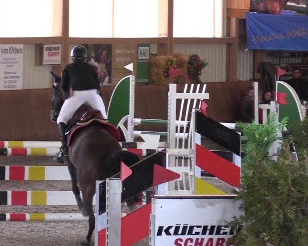 Reitturnier Dettingen 2017