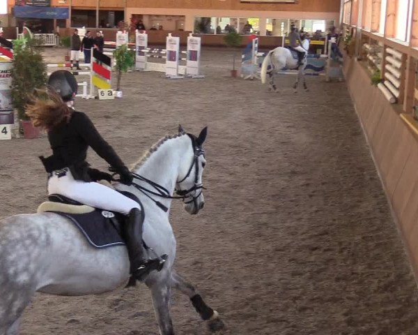 Reitturnier Dettingen 2017