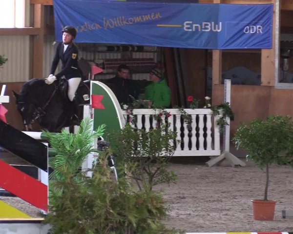 Reitturnier Dettingen 2017