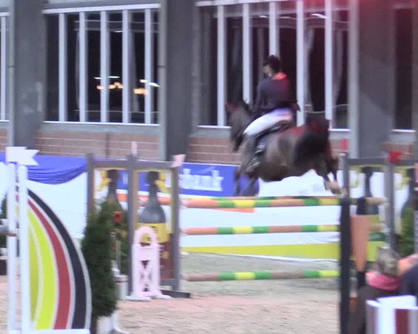 Reitturnier Greven 2017