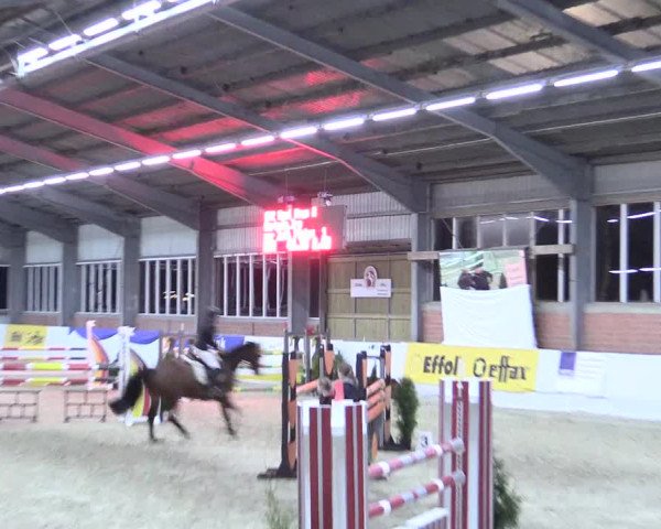 Reitturnier Greven 2017