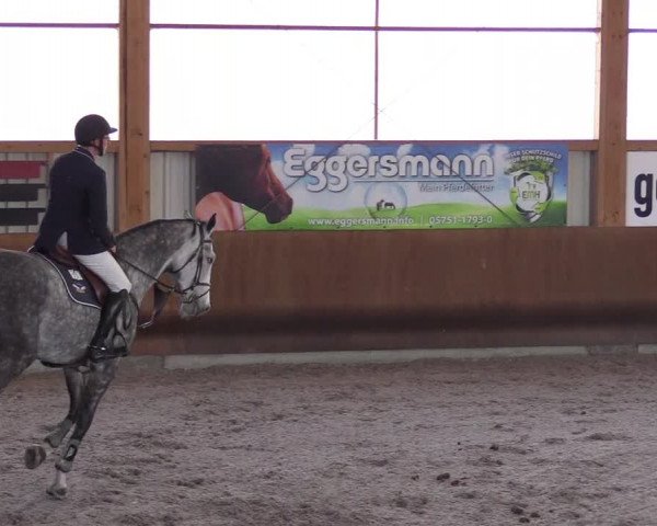 Reitturnier Dettingen 2017