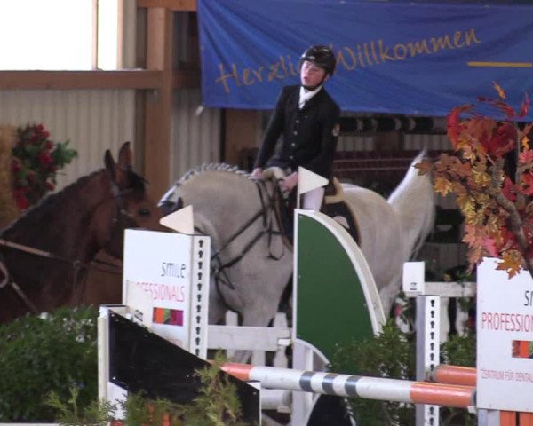 Reitturnier Dettingen 2017