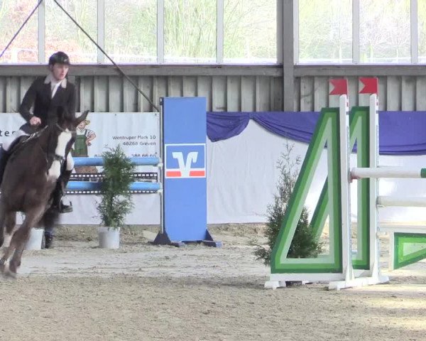 Reitturnier Greven 2017