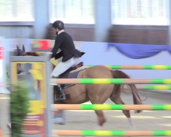 Reitturnier Greven 2017