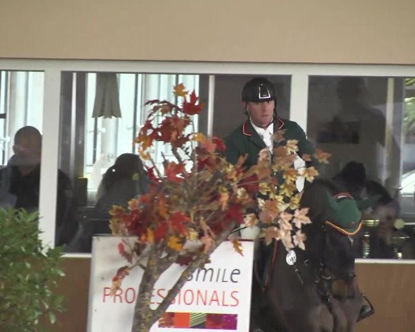 Reitturnier Dettingen 2017