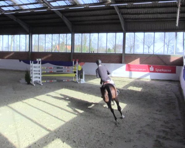 Reitturnier Greven 2017