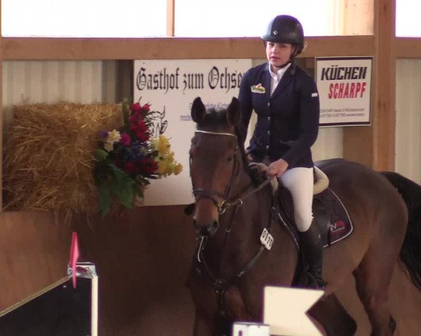 Reitturnier Dettingen 2017