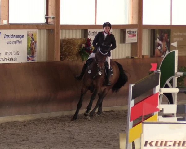 Reitturnier Dettingen 2017