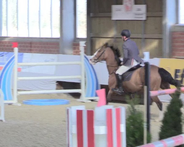 Reitturnier Greven 2017