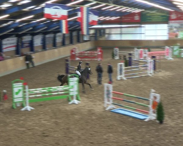 Reitturnier Großenwiehe 2017