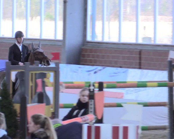 Reitturnier Greven 2017