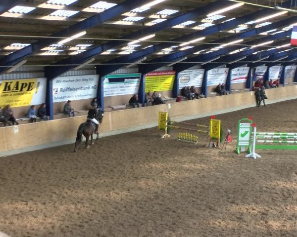 Reitturnier Großenwiehe 2017