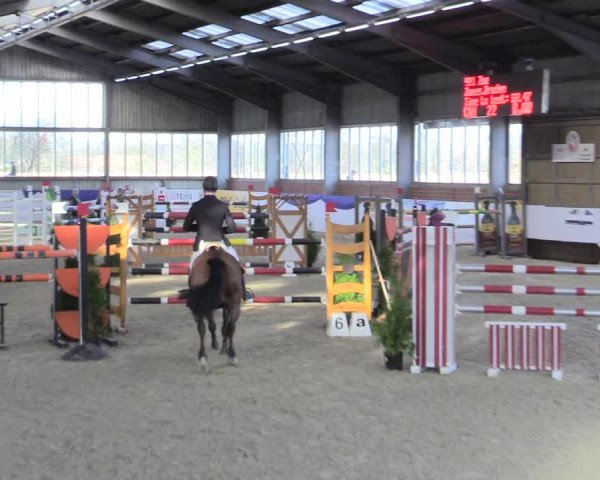 Reitturnier Greven 2017