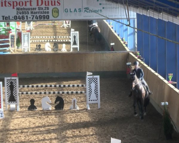 Reitturnier Großenwiehe 2017