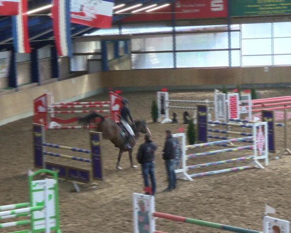 Reitturnier Großenwiehe 2017