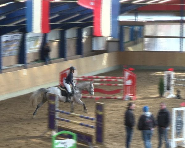Reitturnier Großenwiehe 2017