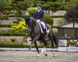 stallion Thiago Gs OLD (Oldenburg show jumper, 2013, from Totilas)