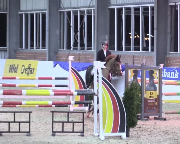 Reitturnier Greven 2017