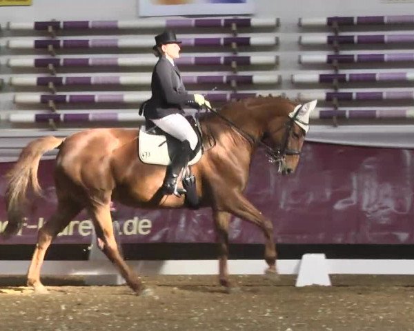 Reitturnier Eicherloh RH Laurent 2017