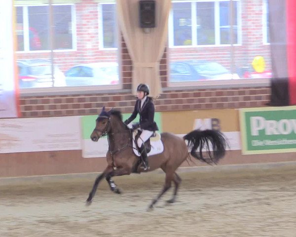 Rosendorf Classics 2017 Seppenrade
