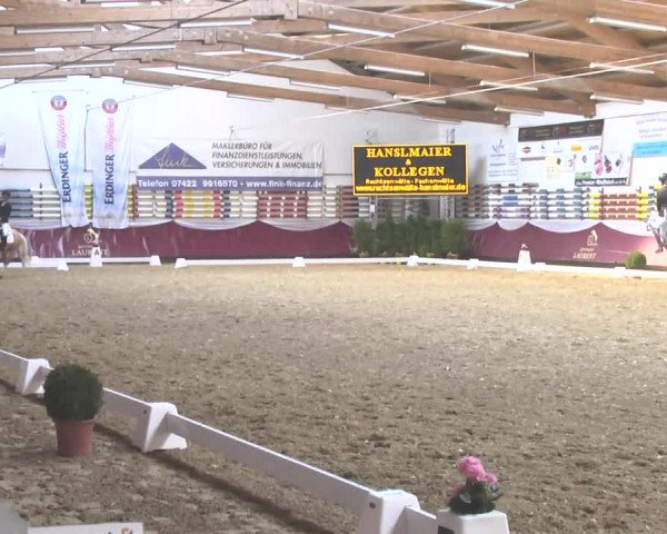 Reitturnier Eicherloh RH Laurent 2017