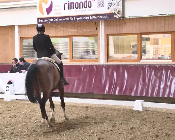 Reitturnier Eicherloh RH Laurent 2017